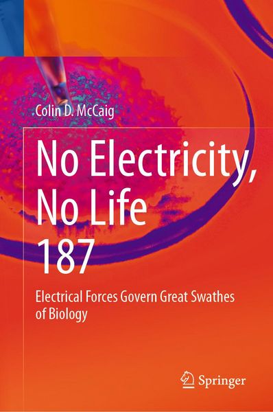Produktbild: No Electricity, No Life