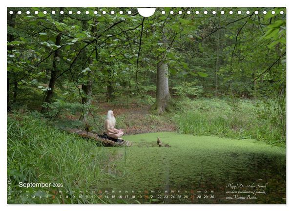 Produktbild: HAIKU AM TEICH (Wandkalender 2026 DIN A4 quer), CALVENDO Monatskalender