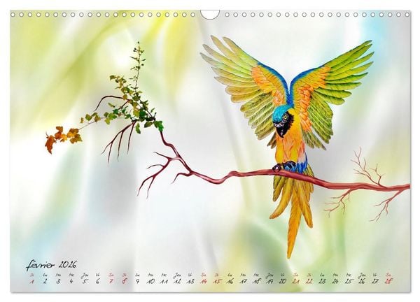 Produktbild: Dessins de perroquets (Calendrier mural 2026 DIN A3 vertical), CALVENDO calendrier mensuel