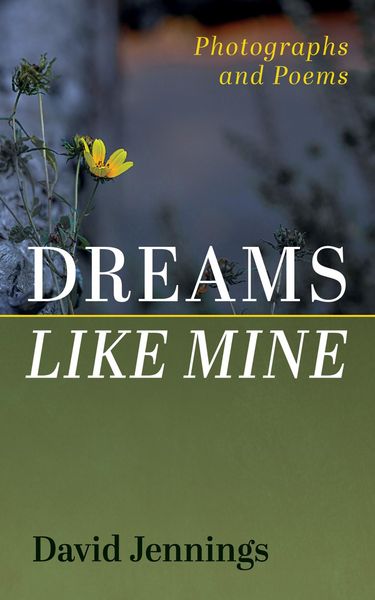 Produktbild: Dreams Like Mine