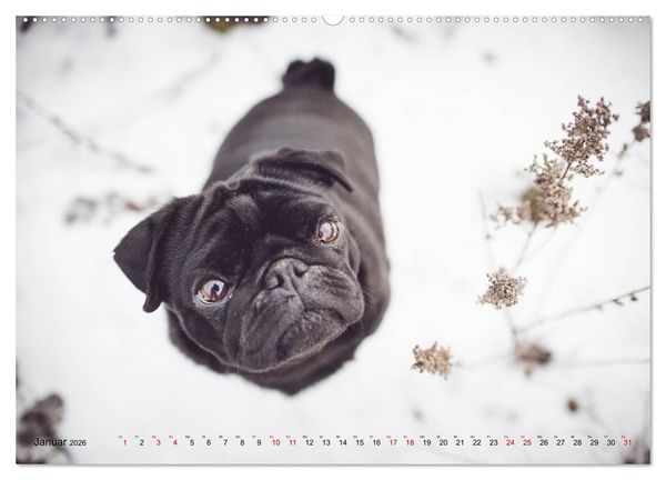 Produktbild: Diesels Welt (Wandkalender 2026 DIN A2 quer), CALVENDO Monatskalender