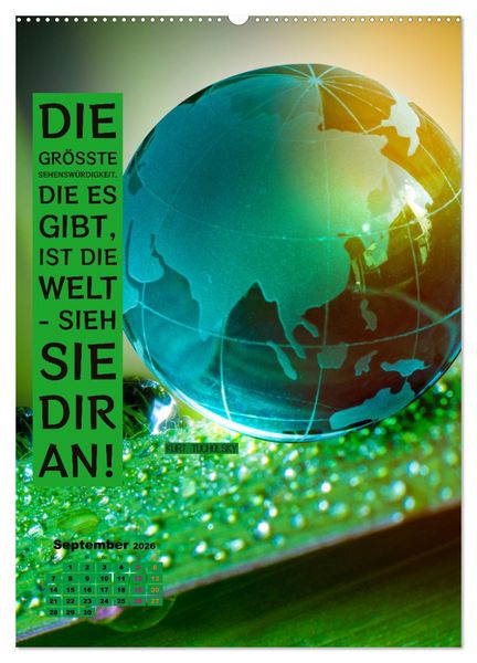 Produktbild: Verr&uuml;ckt nach REISEN Fernweh - Travel - Spr&uuml;che (Wandkalender 2026 DIN A2 hoch), CALVENDO Monatskalender