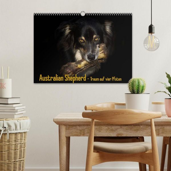 Produktbild: Australian Shepherd - Traum auf vier Pfoten (Wandkalender 2027 DIN A3 quer), CALVENDO Monatskalender