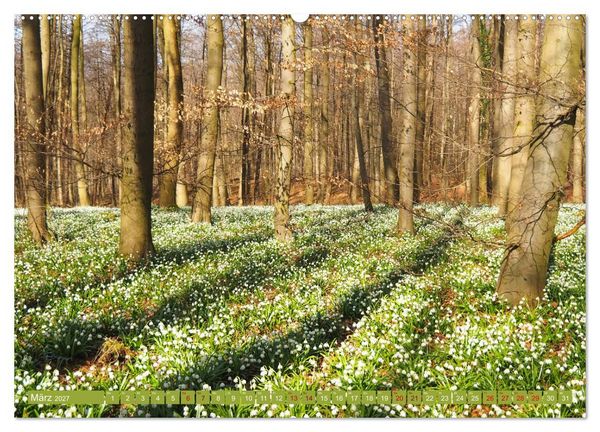 Produktbild: Niedersachsen - Malerische Landschaften (hochwertiger Premium Wandkalender 2027 DIN A2 quer), Kunstdruck in Hochglanz