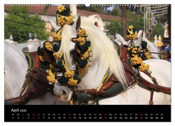 Produktbild: Caballos Spanische Pferde 2026 (Wandkalender 2026 DIN A2 quer), CALVENDO Monatskalender