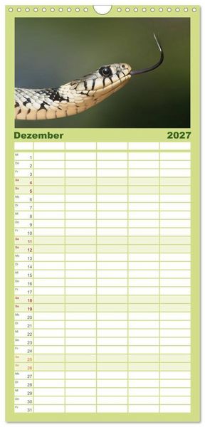 Produktbild: Familienplaner 2027 - Schlangen mit 5 Spalten (Wandkalender, 21 x 45 cm) CALVENDO