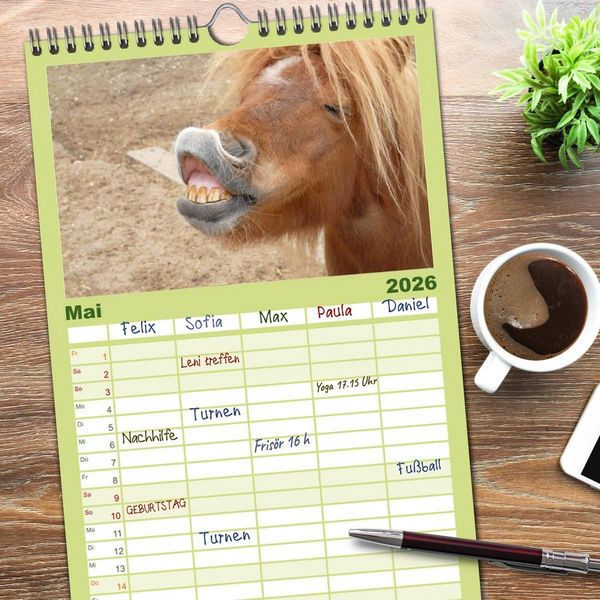 Produktbild: Familienplaner 2026 - Ponys. Herzensbrecher mit Grips mit 5 Spalten (Wandkalender, 21 x 45 cm) CALVENDO
