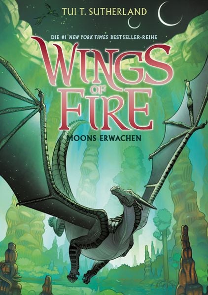 Produktbild: Wings of Fire 6