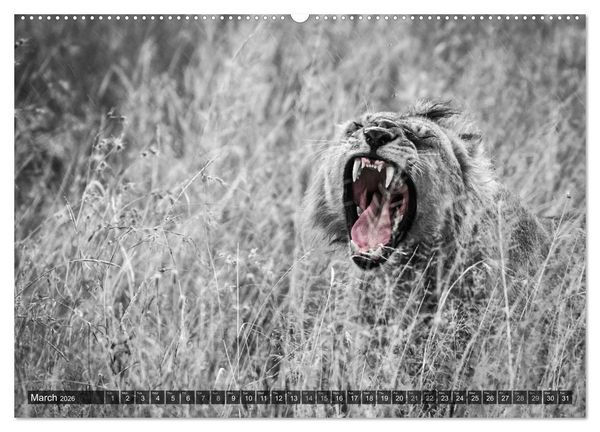 Produktbild: tanzania fine art (High Quality Premium Wall Calendar 2026 DIN A2 landscape),CALVENDO 12 Month Wall Calendar