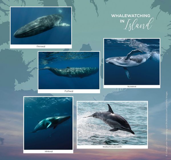 Produktbild: The Sea in your Heart
