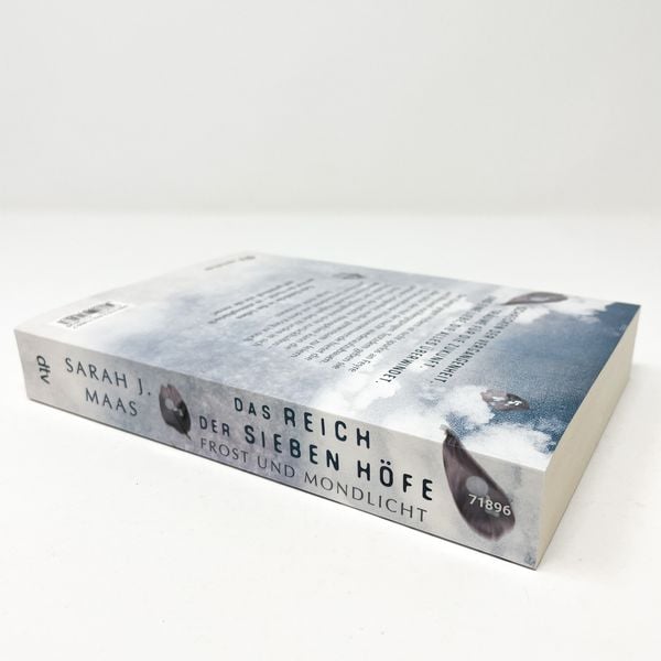 Produktbild: Das Reich der sieben H&ouml;fe &ndash; Frost und Mondlicht