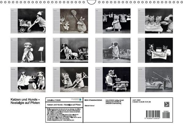 Produktbild: Katzen und Hunde - Nostalgie auf Pfoten (Wandkalender immerw&auml;hrend DIN A3 quer)