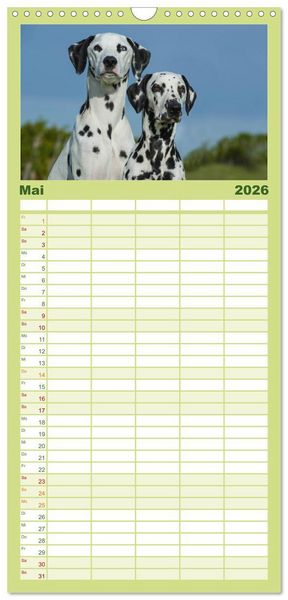 Produktbild: Familienplaner 2026 - Auf den Punkt - Dalmatiner mit 5 Spalten (Wandkalender, 21 x 45 cm) CALVENDO
