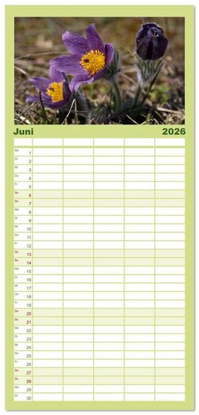 Produktbild: Familienplaner 2026 - Fr&uuml;hlingsbl&uuml;her - Farbenpracht nach dem Winter mit 5 Spalten (Wandkalender, 21 x 45 cm) CALVENDO