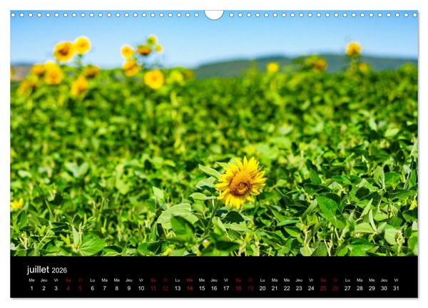 Produktbild: Nature sud de la France (Calendrier mural 2026 DIN A3 vertical), CALVENDO calendrier mensuel