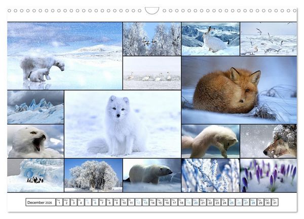 Produktbild: Colour Symphonies of the Earth (Wall Calendar 2026 DIN A3 landscape), CALVENDO 12 Month Wall Calendar