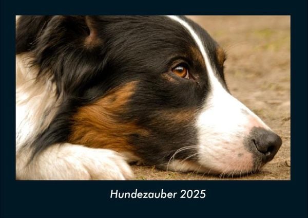 Produktbild: Hundezauber 2025 Fotokalender DIN A4