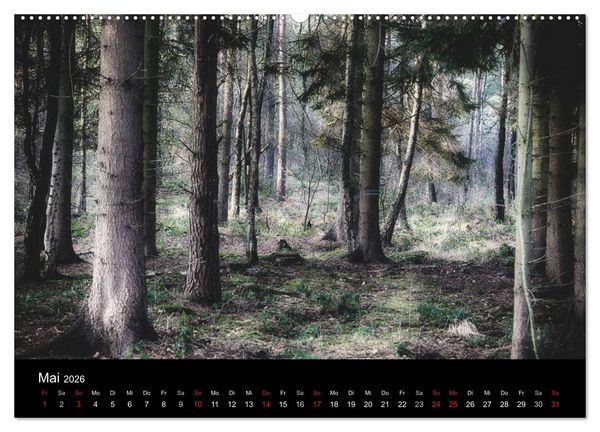 Produktbild: Mystische W&auml;lder (hochwertiger Premium Wandkalender 2026 DIN A2 quer), Kunstdruck in Hochglanz