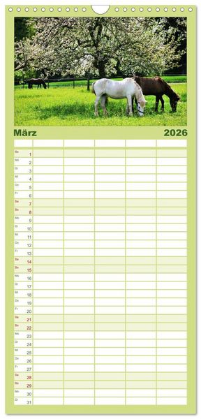 Produktbild: Familienplaner 2026 - Faszination Pferde mit 5 Spalten (Wandkalender, 21 x 45 cm) CALVENDO