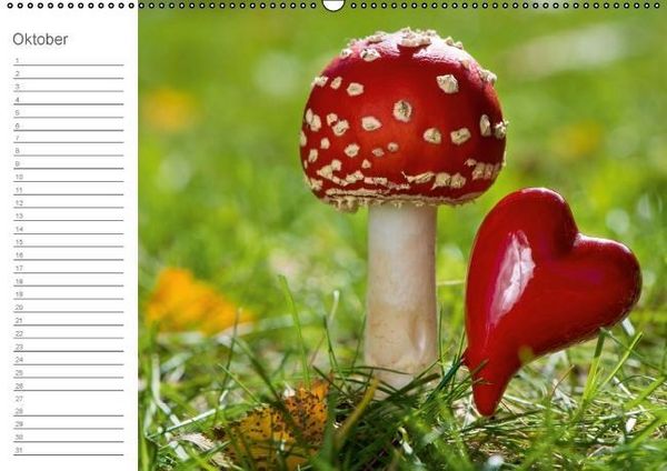 Produktbild: Herzig / Geburtstagskalender (Wandkalender immerw&auml;hrend DIN A2 quer)