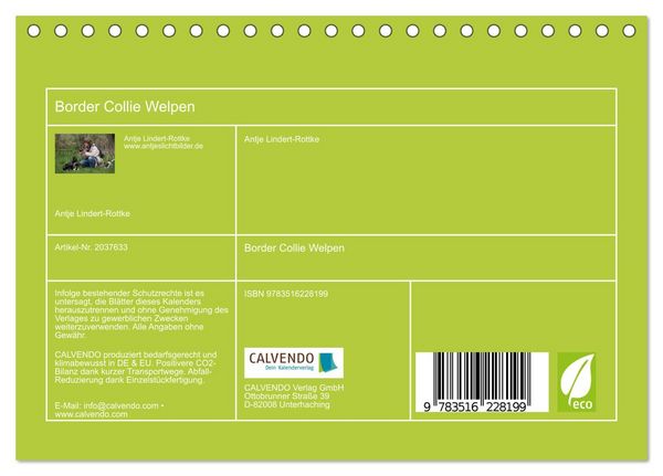 Produktbild: Border Collie Welpen (Tischkalender 2026 DIN A5 quer), CALVENDO Monatskalender