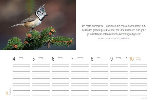 Produktbild: Tischkalender Vogel 2027