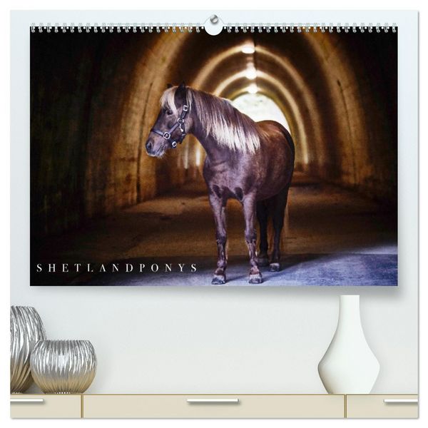Produktbild: Shetlandpony Kalender (hochwertiger Premium Wandkalender 2026 DIN A2 quer), Kunstdruck in Hochglanz