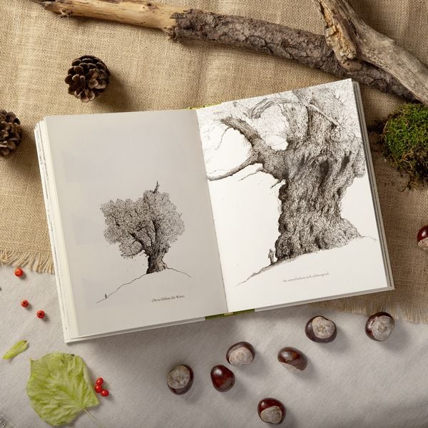 Produktbild: Der letzte Baum