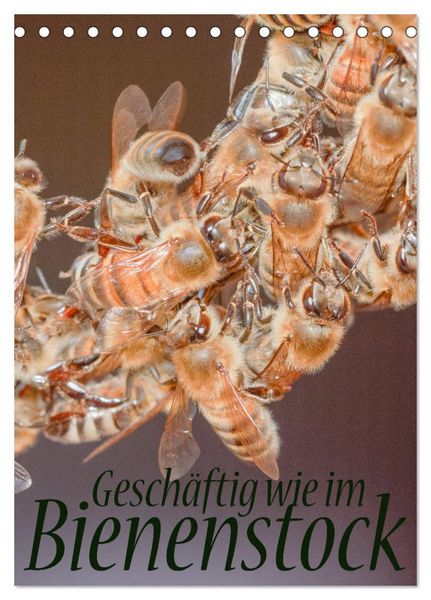Produktbild: Gesch&auml;ftig wie im Bienenstock (Tischkalender 2026 DIN A5 hoch), CALVENDO Monatskalender