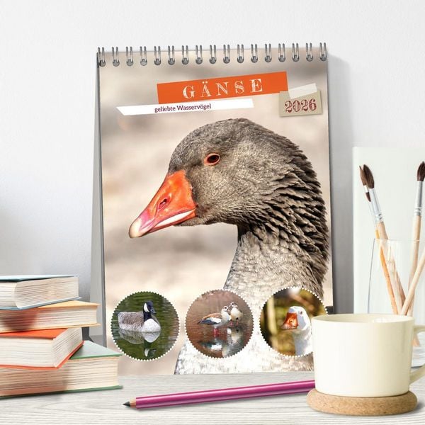 Produktbild: G&auml;nse, geliebte Wasserv&ouml;gel (Tischkalender 2026 DIN A5 hoch), CALVENDO Monatskalender