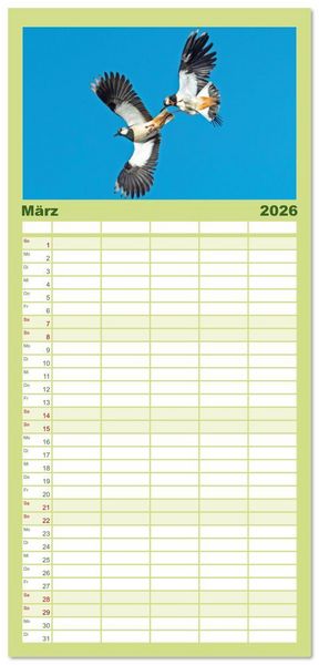Produktbild: Familienplaner 2026 - V&ouml;gel in unserer Heimat: Kiebitz, Wiedehopf und Turteltaube mit 5 Spalten (Wandkalender, 21 x 45 cm) CALVENDO