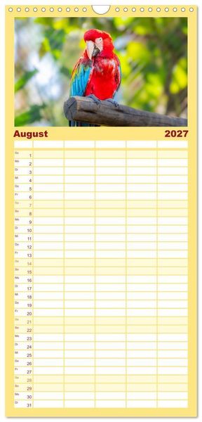 Produktbild: Familienplaner 2027 - Aras und bunte Sittiche: Exotische Papageien-Portr&auml;ts mit 5 Spalten (Wandkalender, 21 x 45 cm) CALVENDO