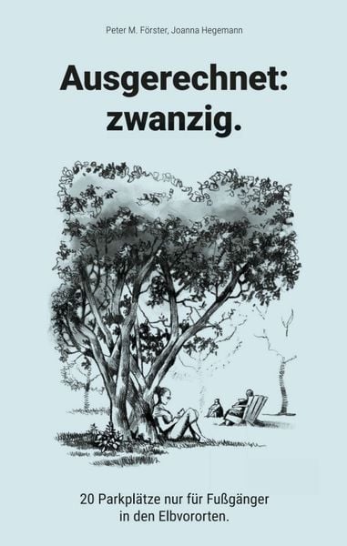 Ausgerechnet: zwanzig., Taschenbuch von Peter M. Förster, Tredition, 9783347386778