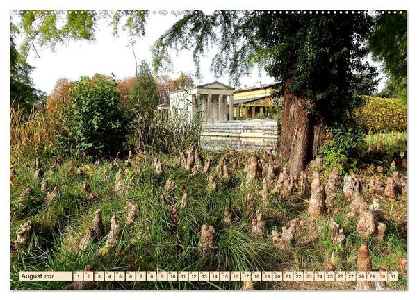 Produktbild: Im Park von Sanssouci - Spaziergang durch die Jahreszeiten (Wandkalender 2026 DIN A2 quer), CALVENDO Monatskalender