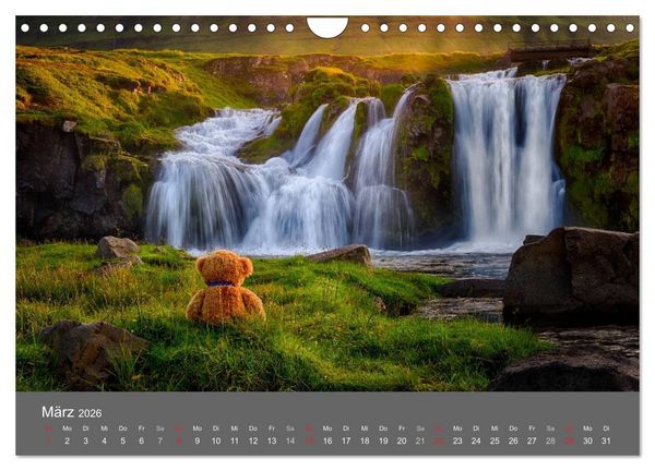 Produktbild: Travelling Teddy 2026 (Wandkalender 2026 DIN A4 quer), CALVENDO Monatskalender