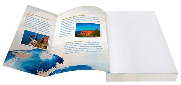 Produktbild: Die Frauen von Helgoland. Windflüchterin