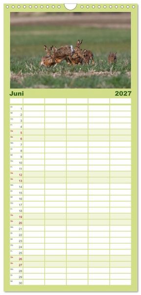 Produktbild: Familienplaner 2027 - Feldhasen in H&ouml;chstform mit 5 Spalten (Wandkalender, 21 x 45 cm) CALVENDO