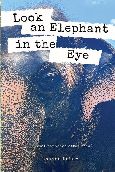 Produktbild: Look an Elephant in the Eye