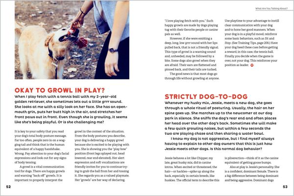 Produktbild: The Dog Behavior Answer Book, 2nd Edition