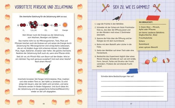 Produktbild: Die Forscherbande: Experimentieren und Entdecken mit Ada Twist
