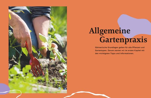 Produktbild: G&auml;rtnern f&uuml;r Gartenneulinge