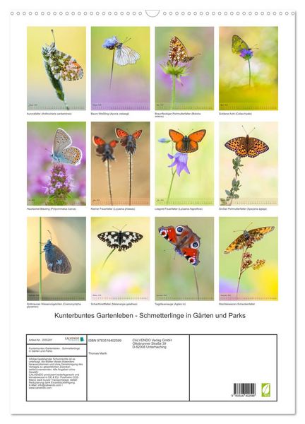 Produktbild: Kunterbuntes Gartenleben - Schmetterlinge in G&auml;rten und Parks (Wandkalender 2026 DIN A2 hoch), CALVENDO Monatskalender