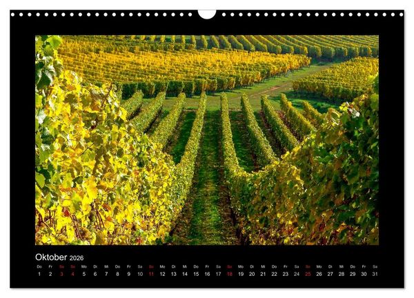 Produktbild: Wein - Reben, Wingerte und historische Weinkeller (Wandkalender 2026 DIN A3 quer), CALVENDO Monatskalender