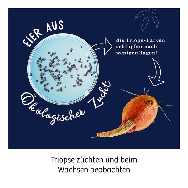 Produktbild: Fun Science Triops z&uuml;chten