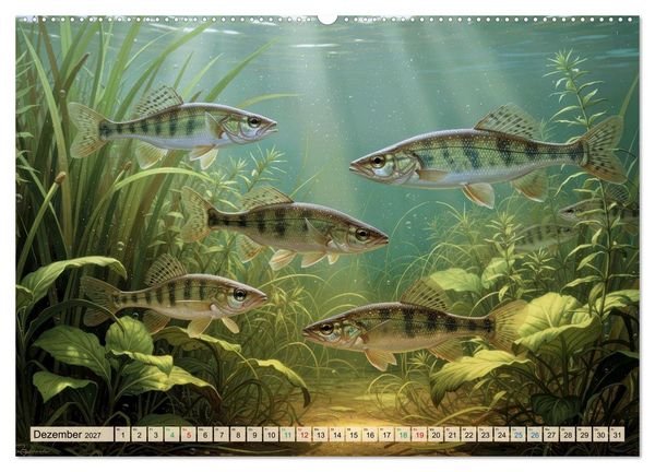 Produktbild: Barsche im See (Wandkalender 2027 DIN A2 quer), CALVENDO Monatskalender