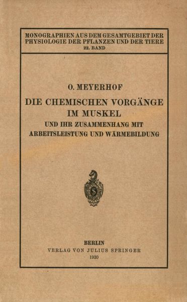 Produktbild: Die chemischen Vorg&auml;nge im Muskel und ihr Zusammenhang mit Arbeitsleistung und W&auml;rmebildung