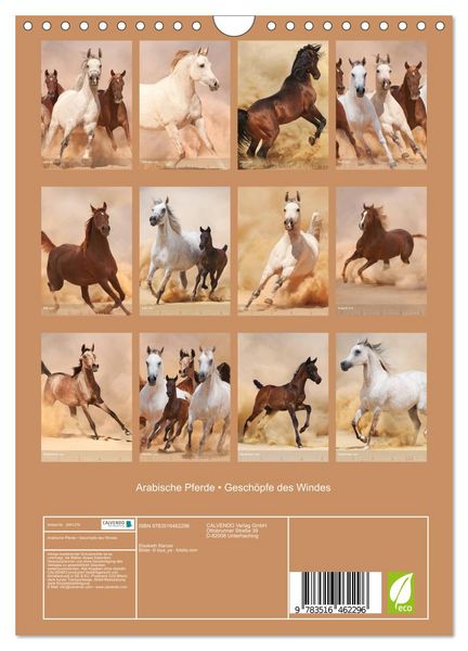 Produktbild: Arabische Pferde &bull; Gesch&ouml;pfe des Windes (Wandkalender 2026 DIN A4 hoch), CALVENDO Monatskalender