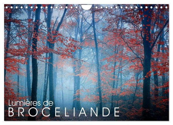 Lumières de Brocéliande (Calendrier mural 2026 DIN A4 vertical), CALVENDO calendrier mensuel