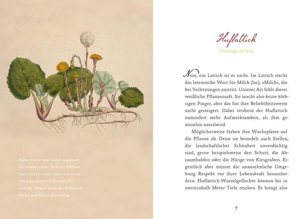 Produktbild: Eifeler Bl&uuml;ten-Lese