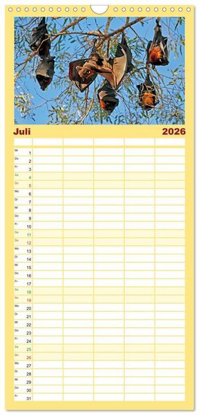 Produktbild: Familienplaner 2026 - Flughunde - Meister der Nacht mit 5 Spalten (Wandkalender, 21 x 45 cm) CALVENDO